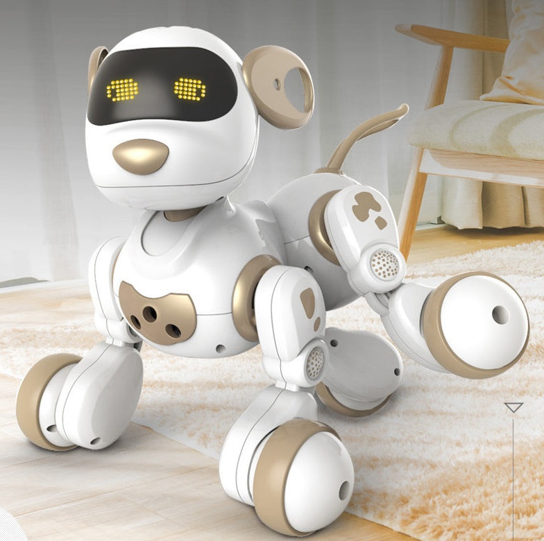 Interactive Walking and Talking Robot Toy with Remote Control (NR - 122021054)