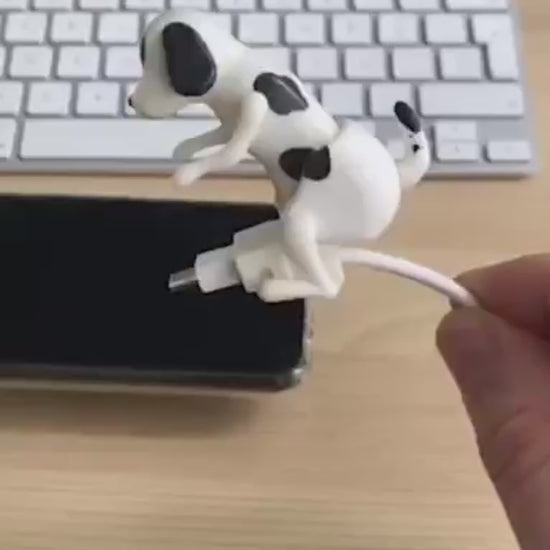 Sports puppy charging cable